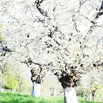 Malakamienica80 Butikowa W Gorach Izerskich Mala Kamlenica