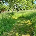 Malakamienica80 Butikowa W Gorach Izerskich Mala Kamlenica