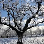 Malakamienica80 Butikowa W Gorach Izerskich