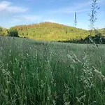 Farma Malakamienica80 Butikowa W Gorach Izerskich *