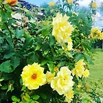 Farma Malakamienica80 Butikowa W Gorach Izerskich