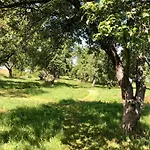 Farma Malakamienica80 Butikowa W Gorach Izerskich