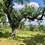 Malakamienica80 Butikowa W Gorach Izerskich *