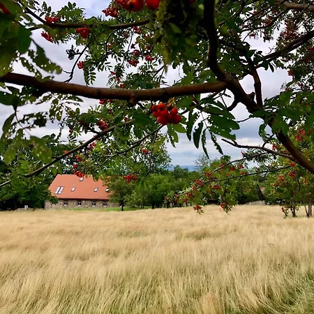 Malakamienica80 Butikowa W Gorach Izerskich Bauernhof *