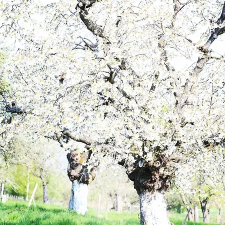Malakamienica80 Butikowa W Gorach Izerskich Mala Kamlenica