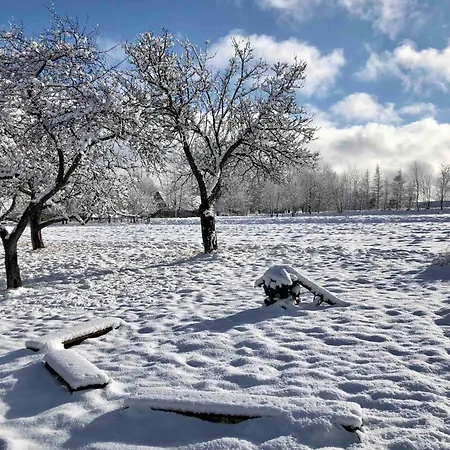 Malakamienica80 Butikowa W Gorach Izerskich * Mala Kamlenica