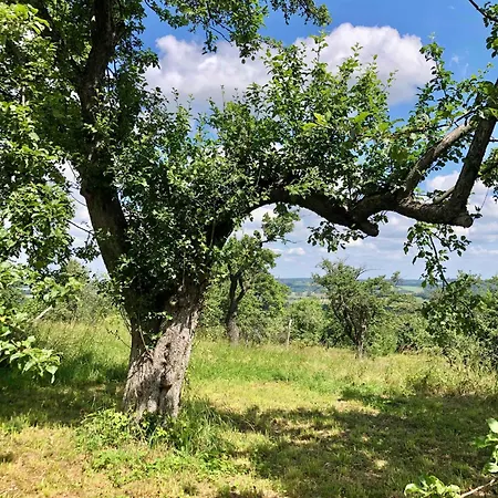 Malakamienica80 Butikowa W Gorach Izerskich *