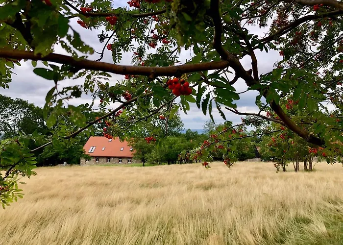 Malakamienica80 Butikowa W Gorach Izerskich Farm stay *