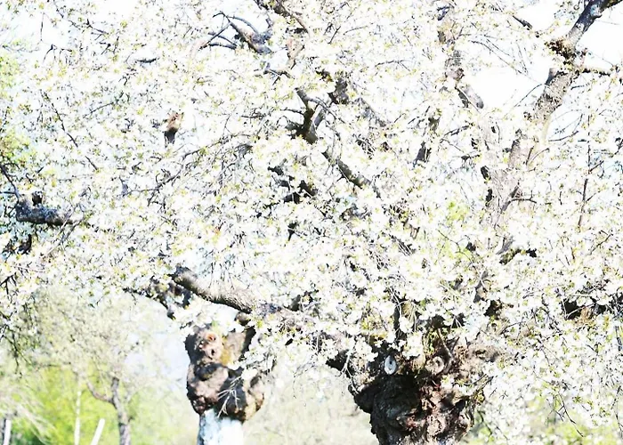 Malakamienica80 Butikowa W Gorach Izerskich Mala Kamlenica