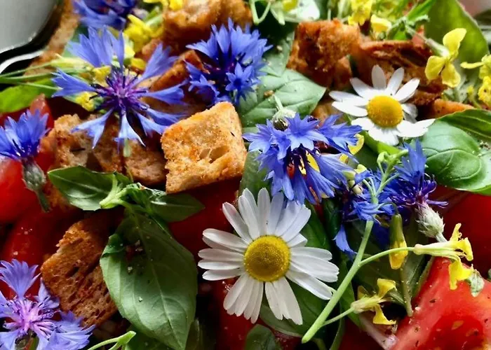 Farm stay Malakamienica80 Butikowa W Gorach Izerskich Mala Kamlenica