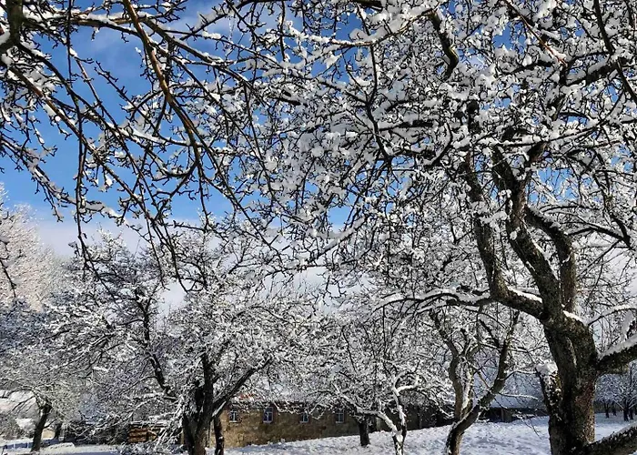 Malakamienica80 Butikowa W Gorach Izerskich Farm stay Mala Kamlenica