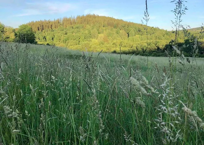 Farm stay Malakamienica80 Butikowa W Gorach Izerskich *