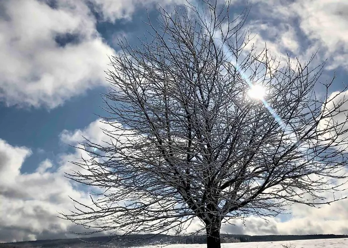 Farm stay Malakamienica80 Butikowa W Gorach Izerskich *