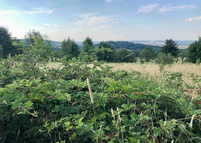 Malakamienica80 Butikowa W Gorach Izerskich Farm stay Mala Kamlenica