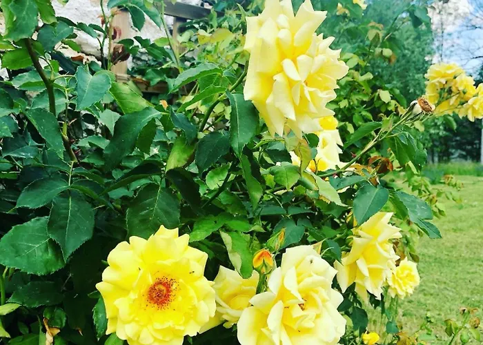 Farm stay Malakamienica80 Butikowa W Gorach Izerskich