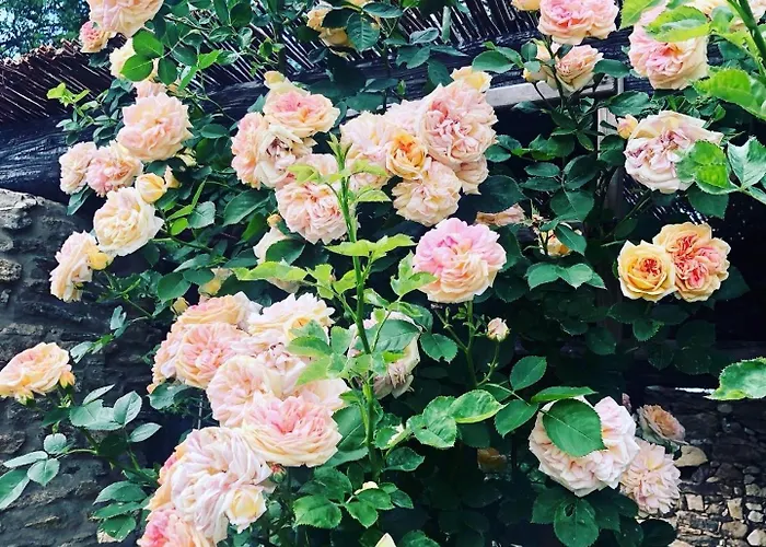 Malakamienica80 Butikowa W Gorach Izerskich * Mala Kamlenica